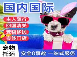 伊金霍洛机场快递国际宠物托运 【国